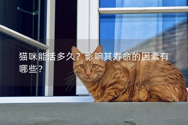 猫咪能活多久？影响其寿命的因素有哪些？