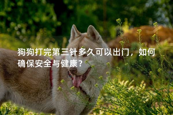 狗狗打完第三针多久可以出门，如何确保安全与健康？