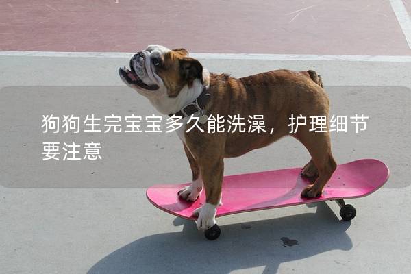 狗狗生完宝宝多久能洗澡，护理细节要注意