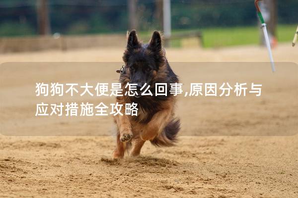 狗狗不大便是怎么回事,原因分析与应对措施全攻略