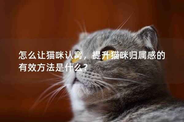 怎么让猫咪认窝，提升猫咪归属感的有效方法是什么？