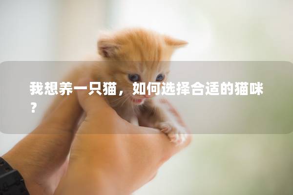 我想养一只猫，如何选择合适的猫咪？