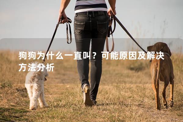 狗狗为什么一直叫？可能原因及解决方法分析