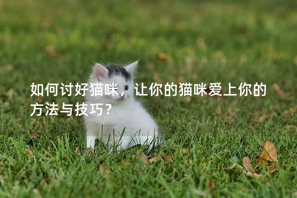 如何讨好猫咪，让你的猫咪爱上你的方法与技巧？