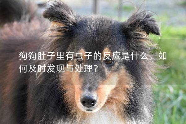 狗狗肚子里有虫子的反应是什么，如何及时发现与处理？