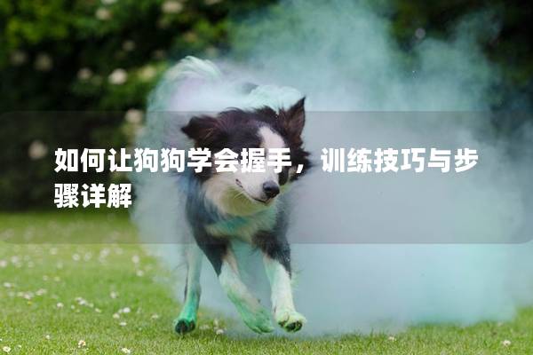 如何让狗狗学会握手，训练技巧与步骤详解