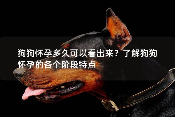 狗狗怀孕多久可以看出来？了解狗狗怀孕的各个阶段特点