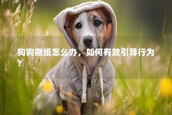 狗狗撕纸怎么办，如何有效引导行为？