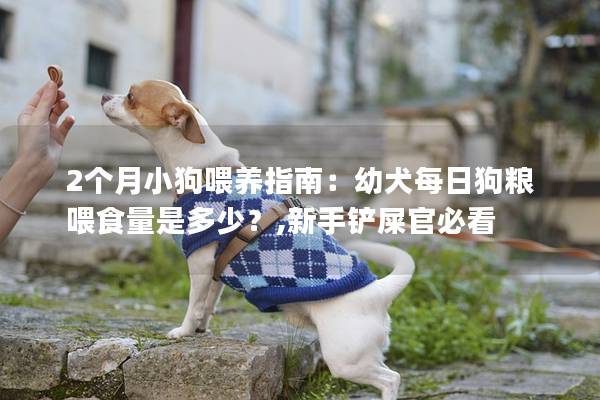 2个月小狗喂养指南：幼犬每日狗粮喂食量是多少？,新手铲屎官必看