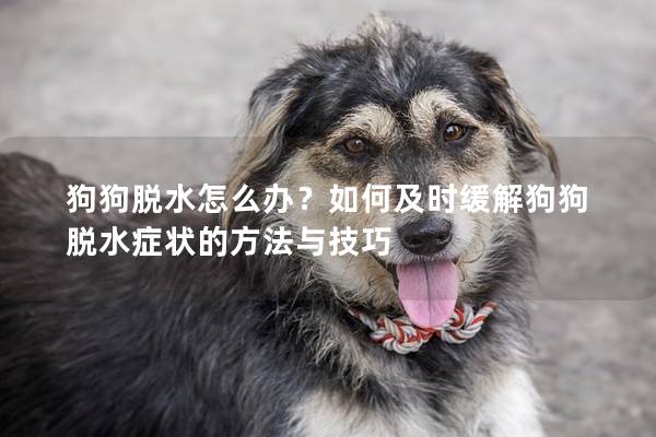 狗狗脱水怎么办？如何及时缓解狗狗脱水症状的方法与技巧