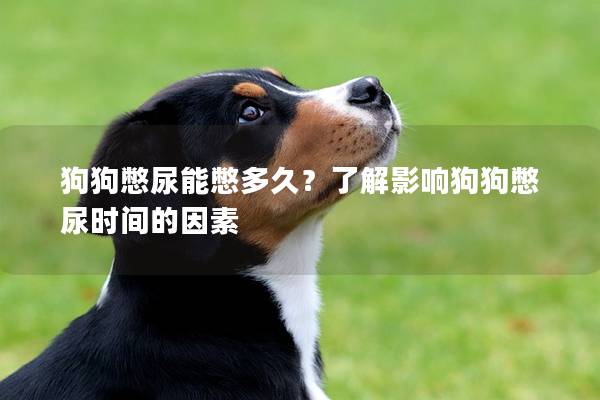 狗狗憋尿能憋多久？了解影响狗狗憋尿时间的因素