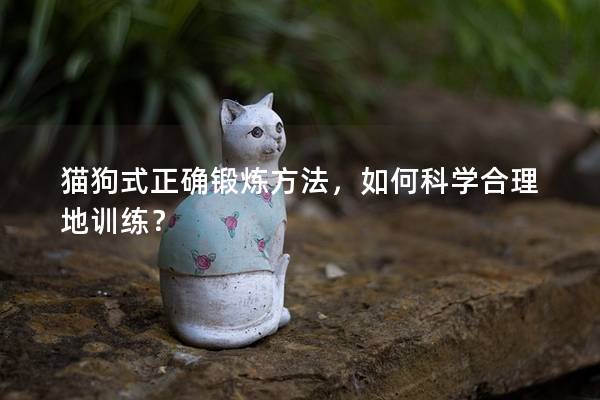 猫狗式正确锻炼方法，如何科学合理地训练？