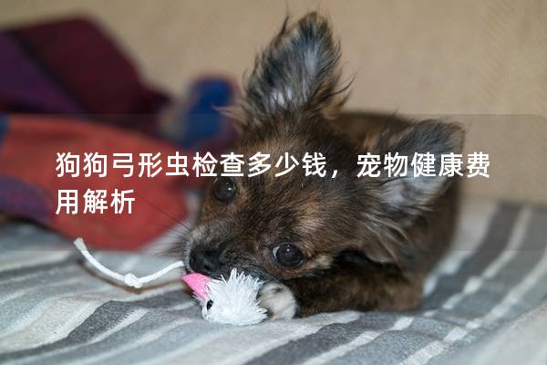 狗狗弓形虫检查多少钱，宠物健康费用解析