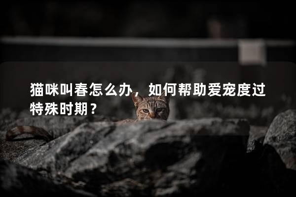 猫咪叫春怎么办，如何帮助爱宠度过特殊时期？