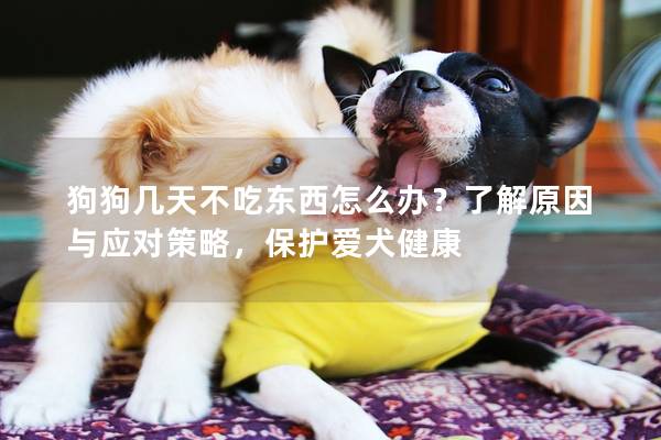 狗狗几天不吃东西怎么办？了解原因与应对策略，保护爱犬健康
