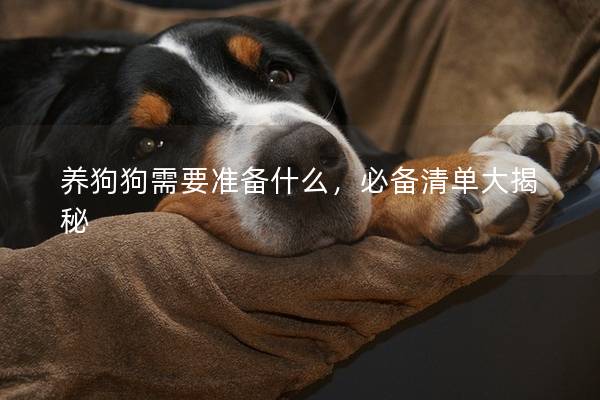 养狗狗需要准备什么，必备清单大揭秘