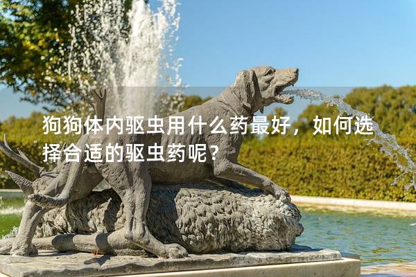 狗狗体内驱虫用什么药最好，如何选择合适的驱虫药呢？