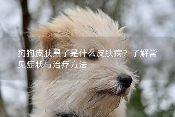 狗狗皮肤黑了是什么皮肤病？了解常见症状与治疗方法