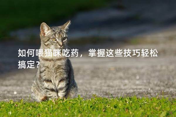 如何喂猫咪吃药，掌握这些技巧轻松搞定？