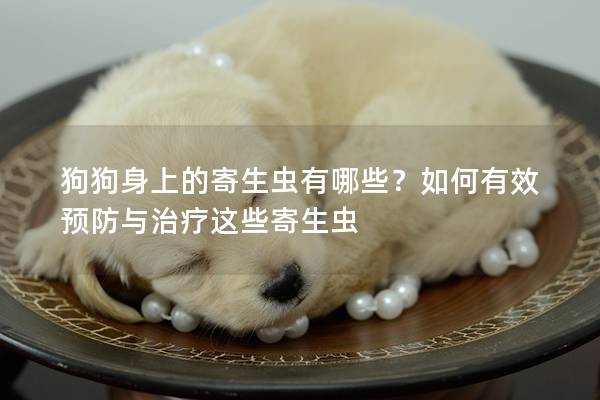 狗狗身上的寄生虫有哪些？如何有效预防与治疗这些寄生虫