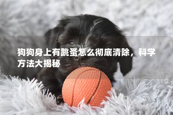 狗狗身上有跳蚤怎么彻底清除，科学方法大揭秘