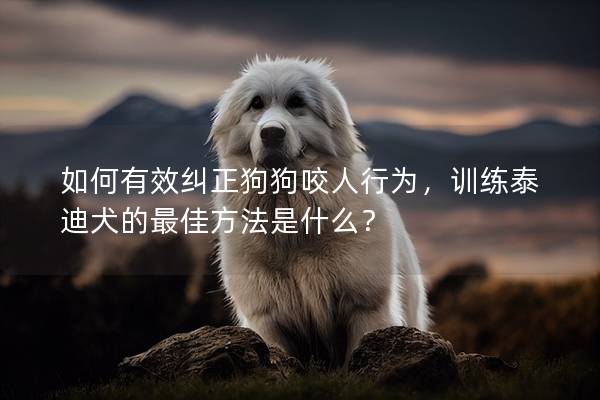 如何有效纠正狗狗咬人行为，训练泰迪犬的最佳方法是什么？
