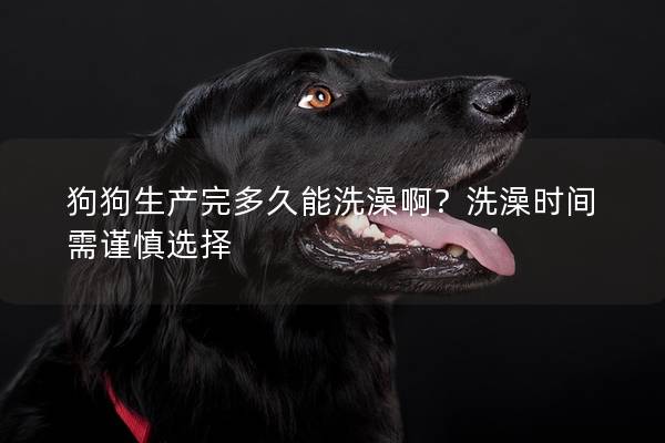 狗狗生产完多久能洗澡啊？洗澡时间需谨慎选择