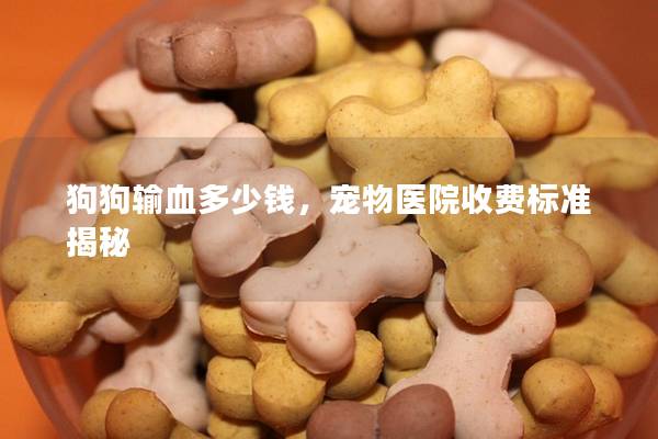 狗狗输血多少钱，宠物医院收费标准揭秘