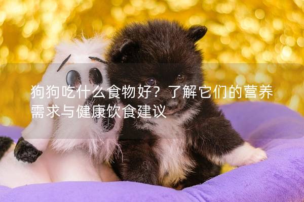 狗狗吃什么食物好？了解它们的营养需求与健康饮食建议