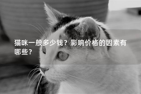 猫咪一般多少钱？影响价格的因素有哪些？