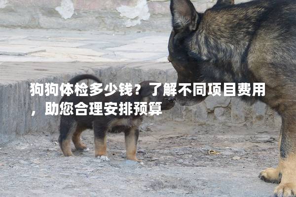 狗狗体检多少钱？了解不同项目费用，助您合理安排预算