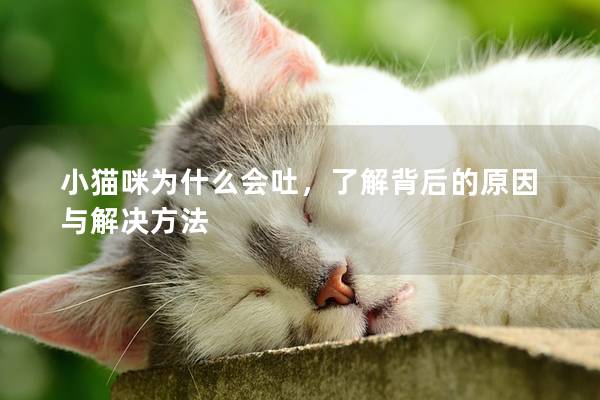 小猫咪为什么会吐，了解背后的原因与解决方法