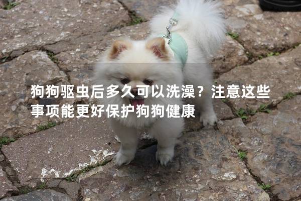 狗狗驱虫后多久可以洗澡？注意这些事项能更好保护狗狗健康