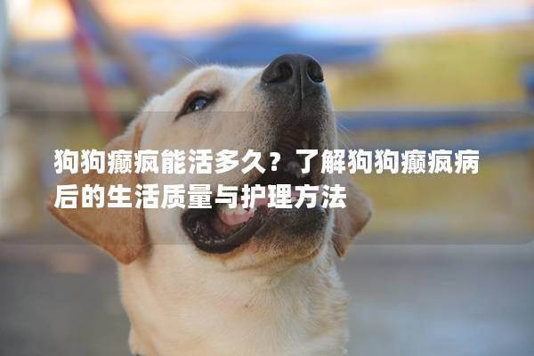 狗狗癫疯能活多久？了解狗狗癫疯病后的生活质量与护理方法
