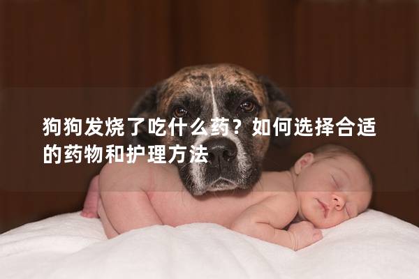 狗狗发烧了吃什么药？如何选择合适的药物和护理方法