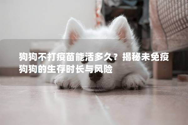 狗狗不打疫苗能活多久？揭秘未免疫狗狗的生存时长与风险