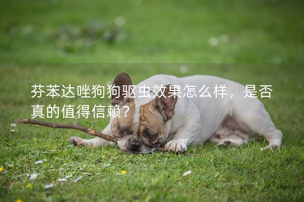 芬苯达唑狗狗驱虫效果怎么样，是否真的值得信赖？