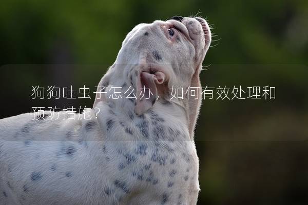 狗狗吐虫子怎么办，如何有效处理和预防措施？