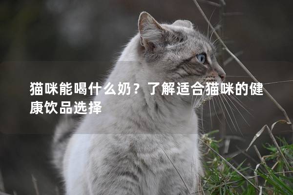 猫咪能喝什么奶？了解适合猫咪的健康饮品选择