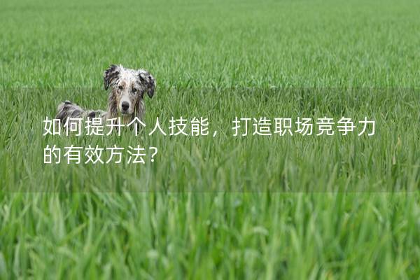 如何提升个人技能，打造职场竞争力的有效方法？