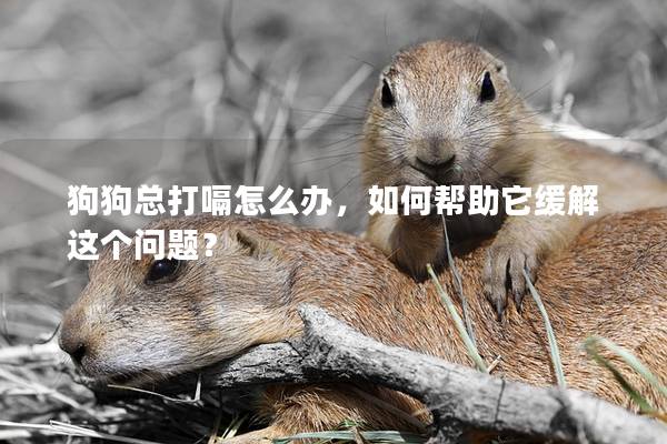 狗狗总打嗝怎么办，如何帮助它缓解这个问题？
