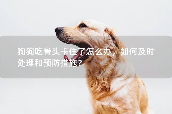 狗狗吃骨头卡住了怎么办，如何及时处理和预防措施？