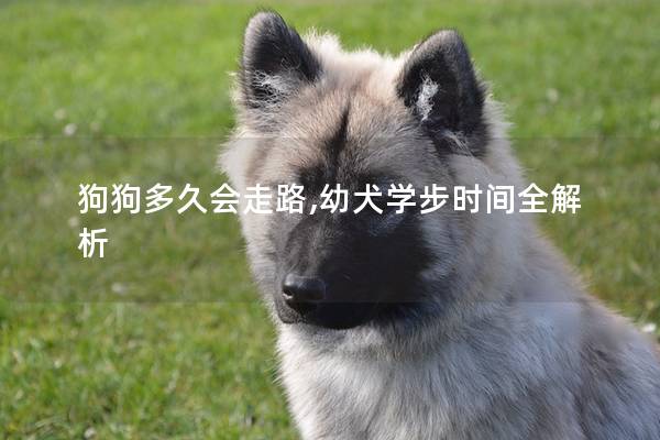 狗狗多久会走路,幼犬学步时间全解析