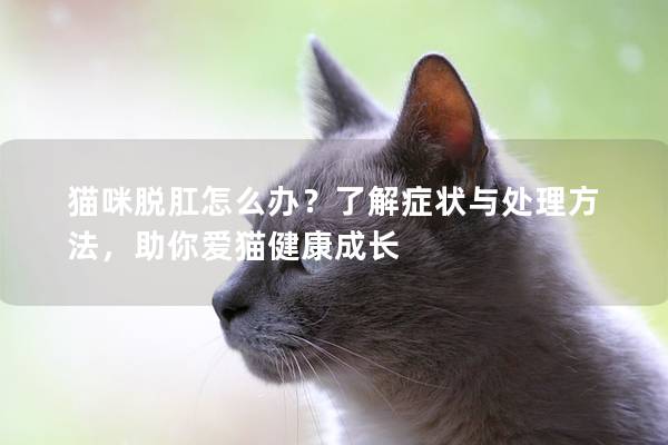猫咪脱肛怎么办？了解症状与处理方法，助你爱猫健康成长
