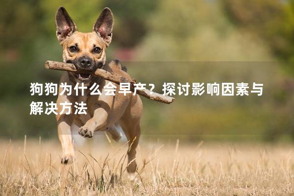 狗狗为什么会早产？探讨影响因素与解决方法