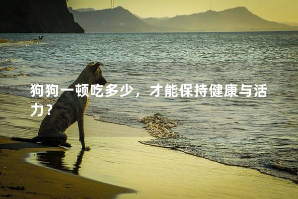 狗狗一顿吃多少，才能保持健康与活力？