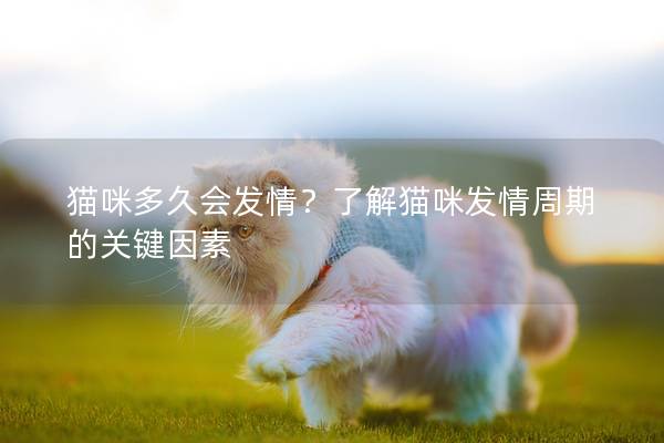猫咪多久会发情？了解猫咪发情周期的关键因素