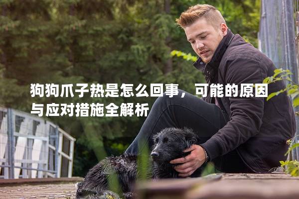 狗狗爪子热是怎么回事，可能的原因与应对措施全解析