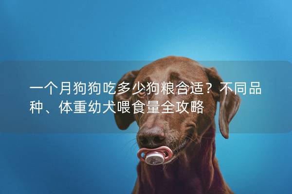 一个月狗狗吃多少狗粮合适？不同品种、体重幼犬喂食量全攻略