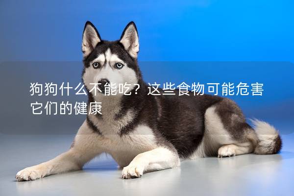 狗狗什么不能吃？这些食物可能危害它们的健康